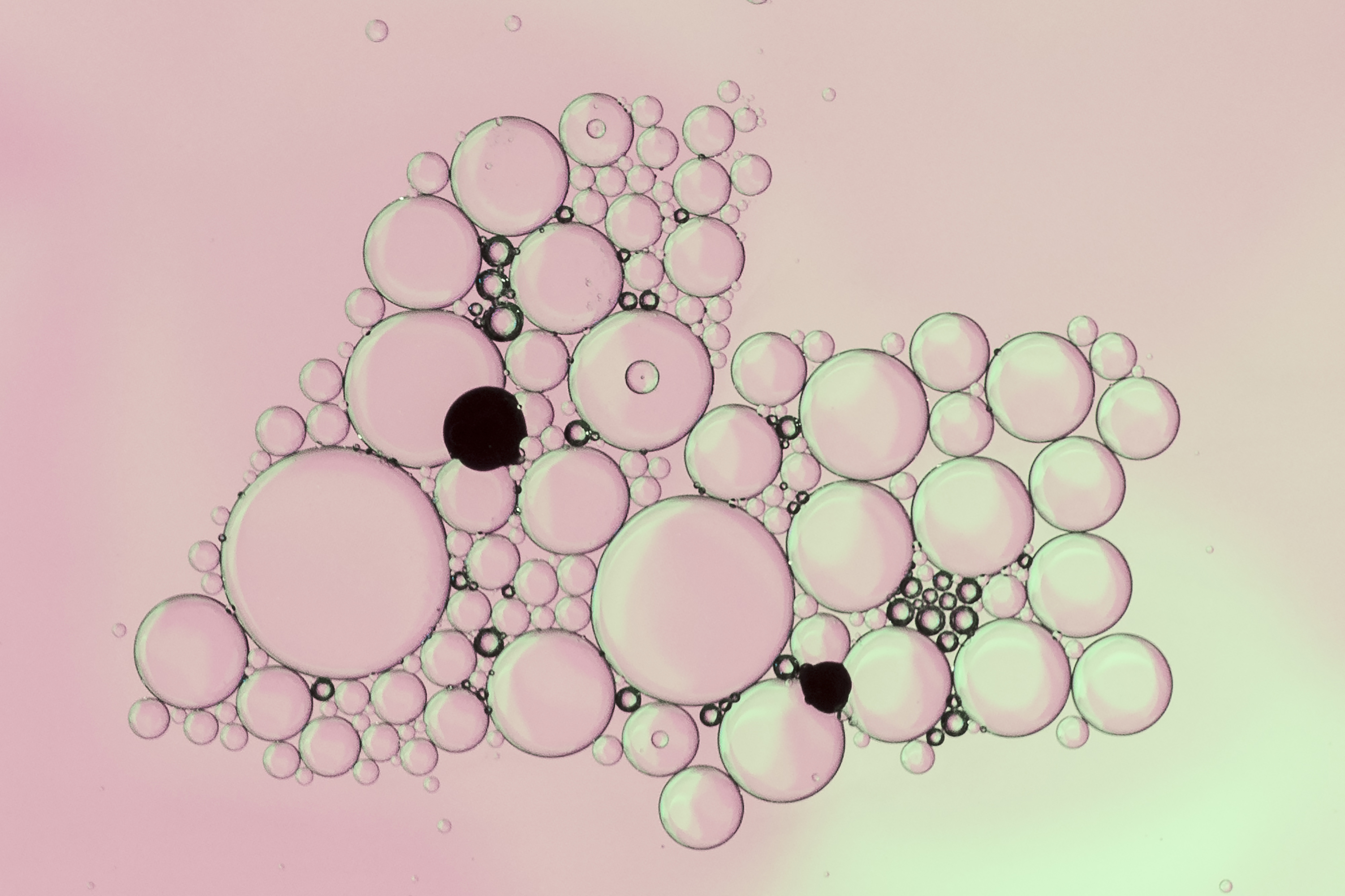 pale-pink-abstract-bubbles-with-black-dots (1)