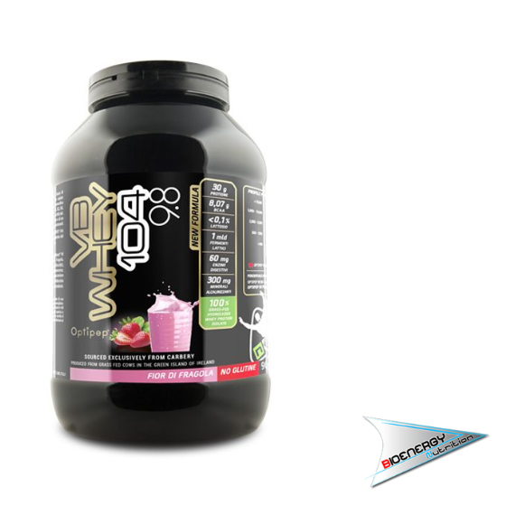 Net - VB WHEY 104 9.8 (Conf. 900 gr) - 